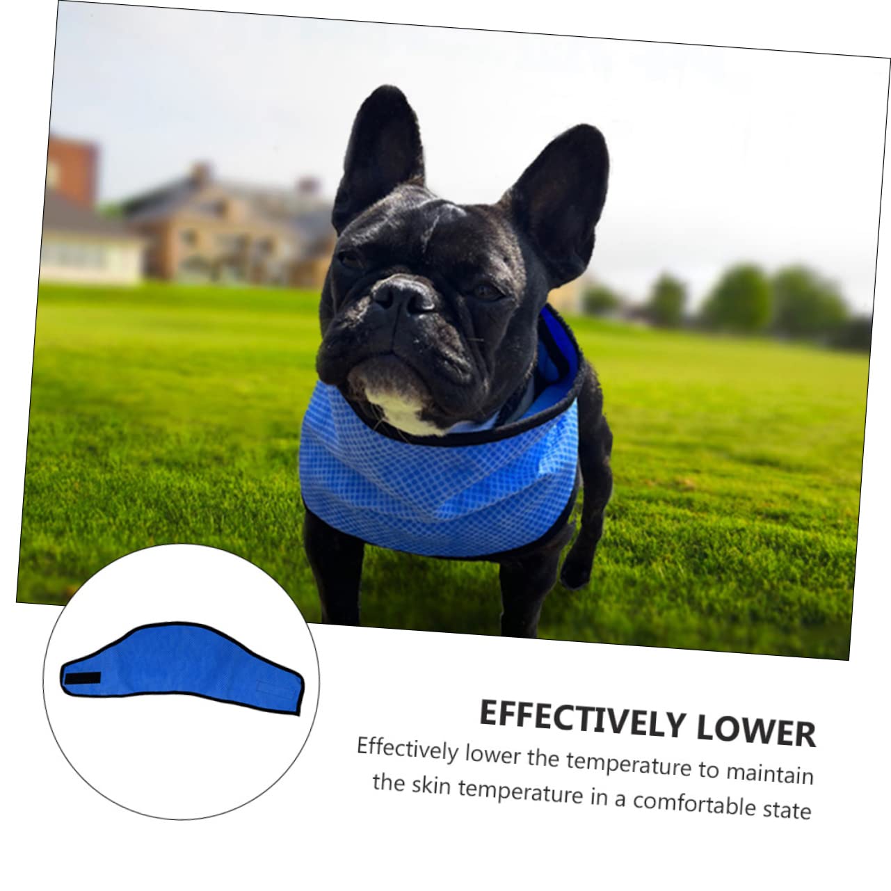 Angoily 6stücke Hundekühlhandtuch Kühlendes Halstuch Für Hunde Atmungsaktive Sommerbandanas Für Heiße Tage Beim Spaziergang Oder Sport