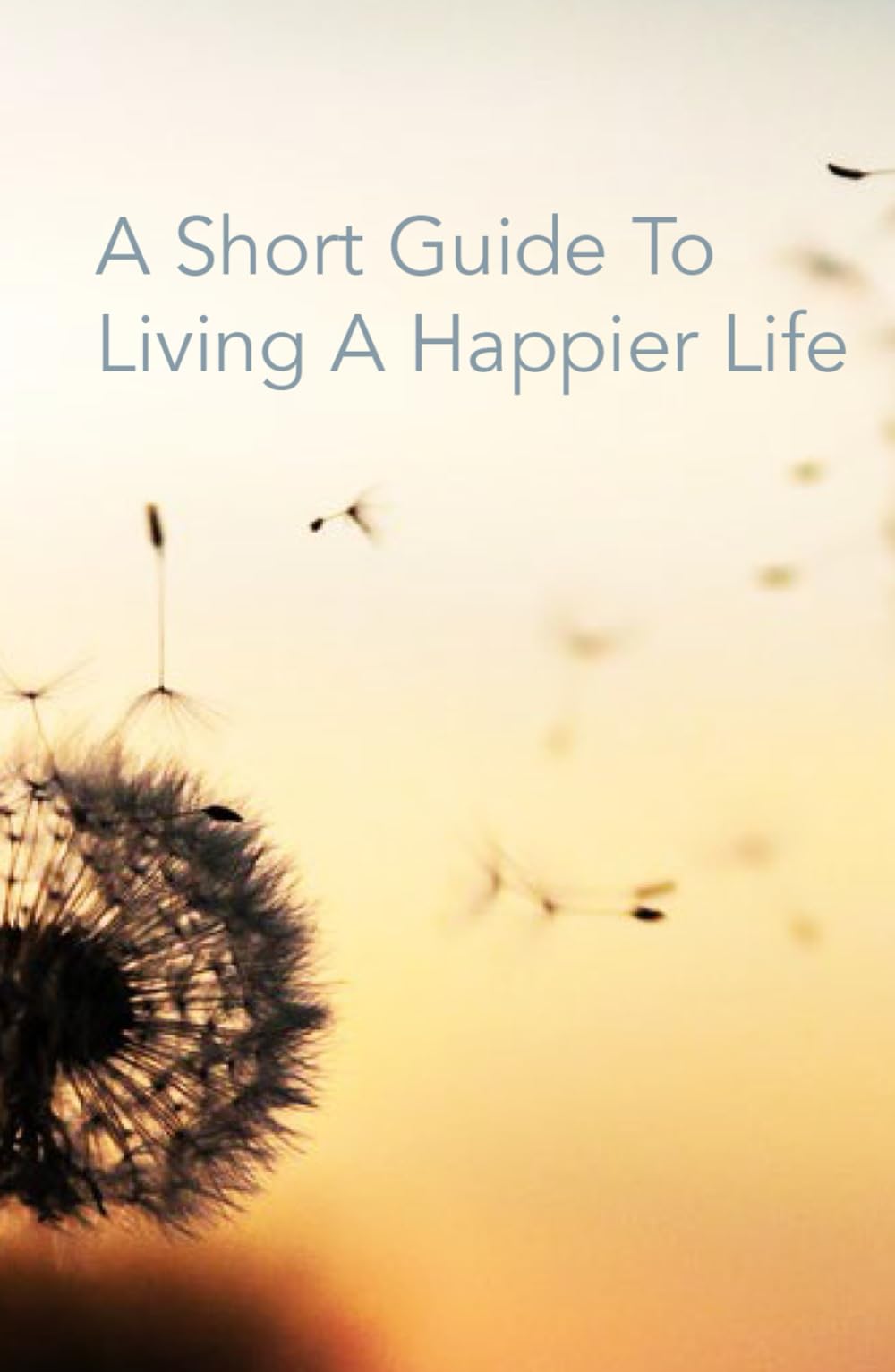 A Short Guide To Living A Happier Life