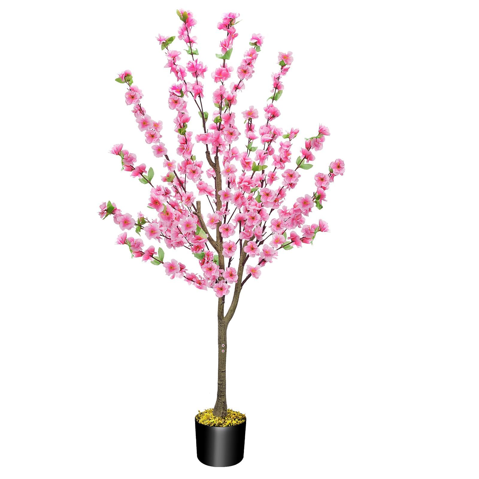 product_img5