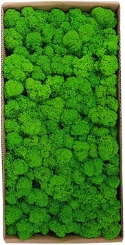 Stimulation Moss Artificial Lichen Fake Plant for Miniature Landscape Fairy Garden Greenery