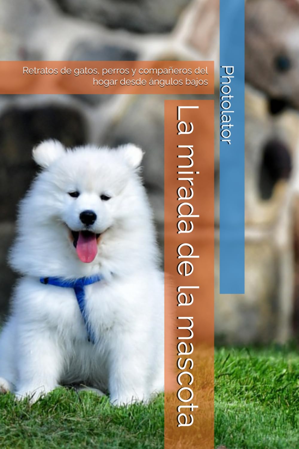 La mirada de la mascota: Retratos de gatos, perros y compañeros del hogar desde ángulos bajos: 4 (Photolator.com Spanish Books Serie)