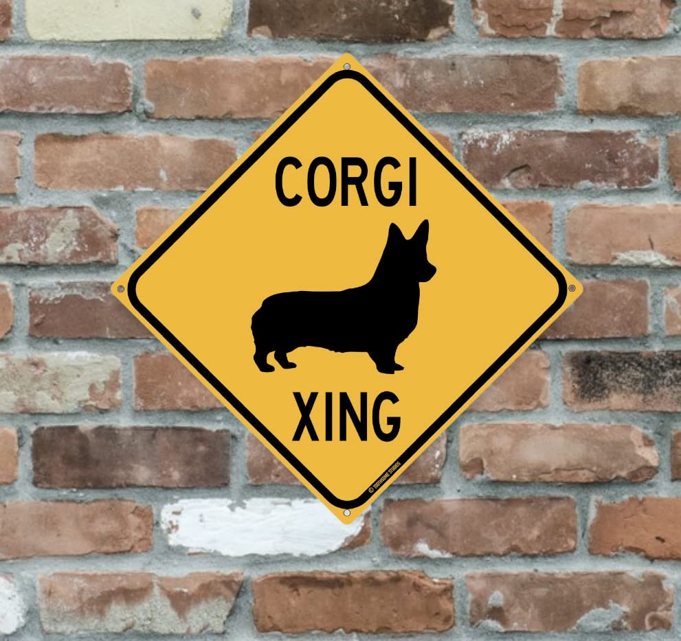Labrador Retriever Dog Sign, Caution Dog Sign, Labrador Lover, Dog...