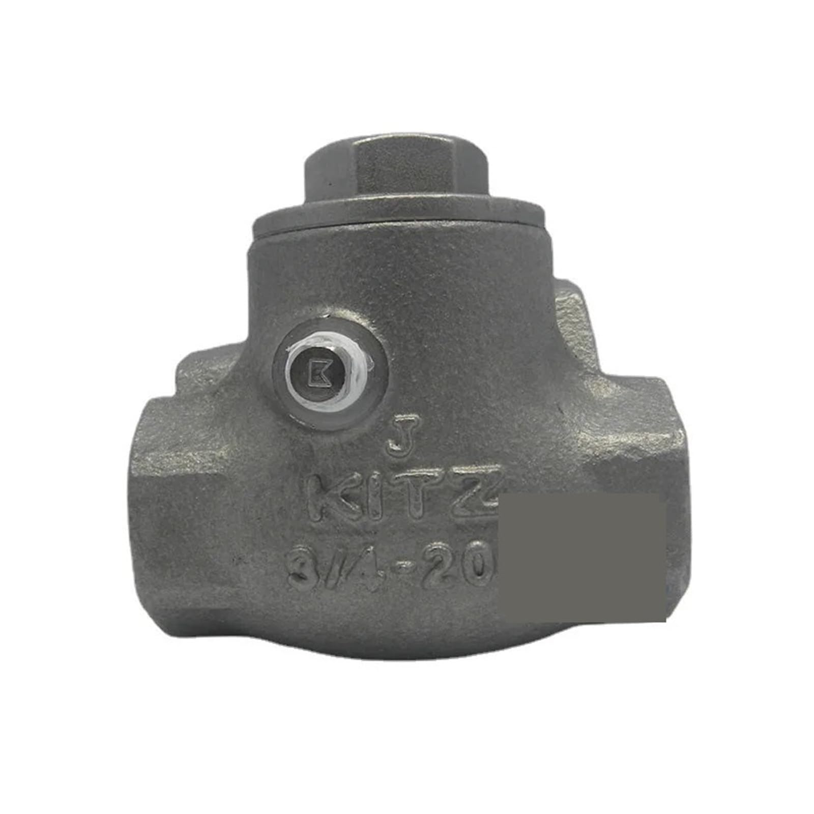 LEOTNNDQ 304 Check Valve Threaded Swing Check Valve Horizontal Check Valve(DN20)