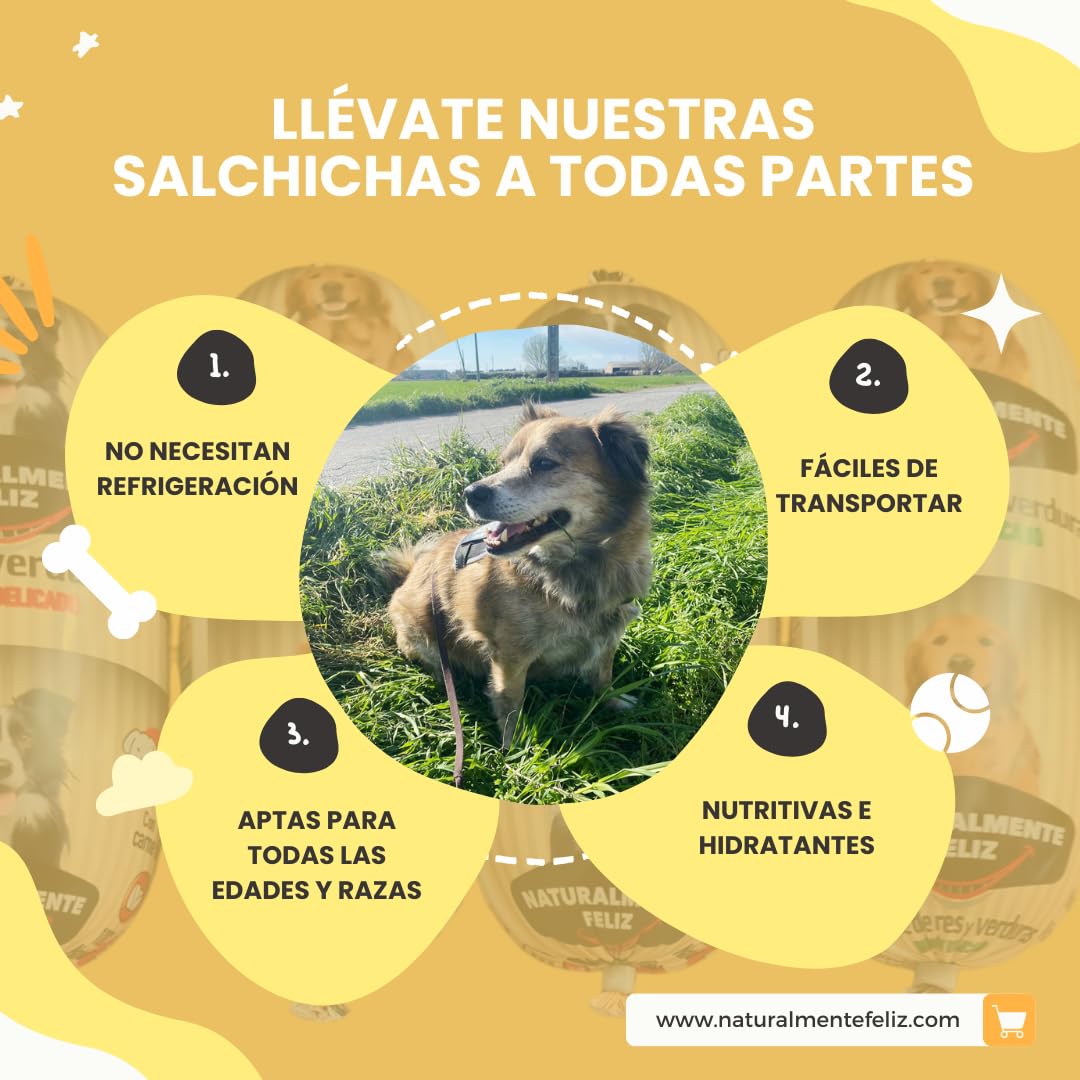 Naturalmente Feliz Alimento Natural casero para Perros, Comida húmeda con Carne y Verduras - 90% Carne (6x450gr) (Cocido Pollo - Ternera y Verduras) Comida Húmeda