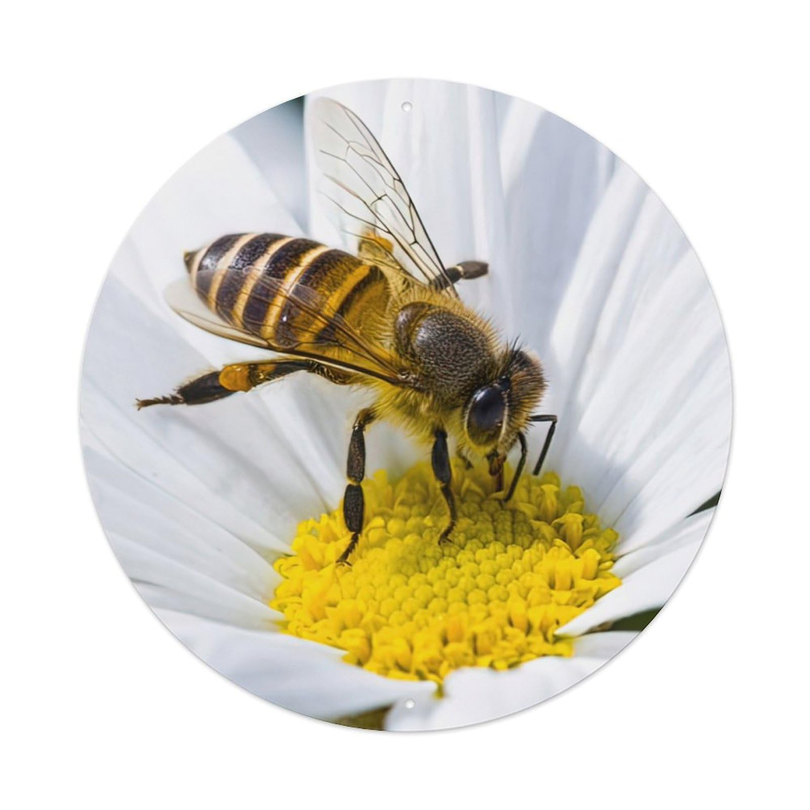 Animal Honey Bee Vintage Metal Tin Sign Plaque Wall Decor for Cafe, Club Bar, Office, Garden Metal Poster 8x8Inch