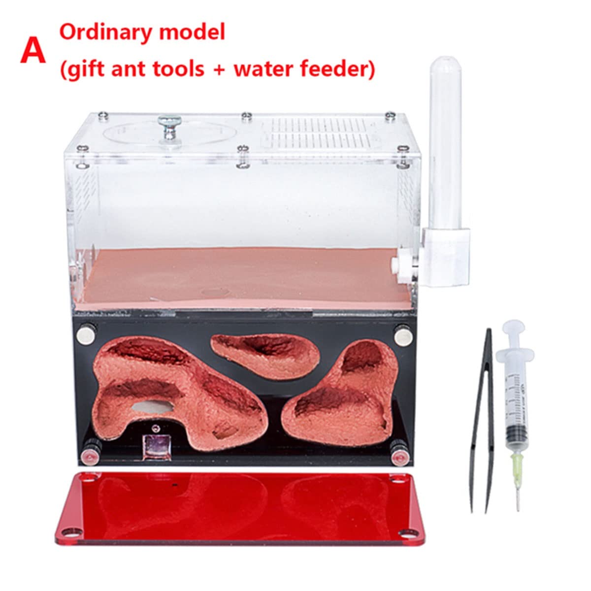 EXDUCT アリの巣観察キット 自由研究 昆虫採集セット 飼育ケース アリ