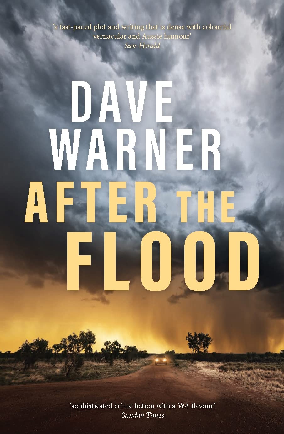 Buy After the Flood: The thrilling third instalment in the award-winning Dan Clement series: 3 (Dave Warner Crime) — BookShops.in