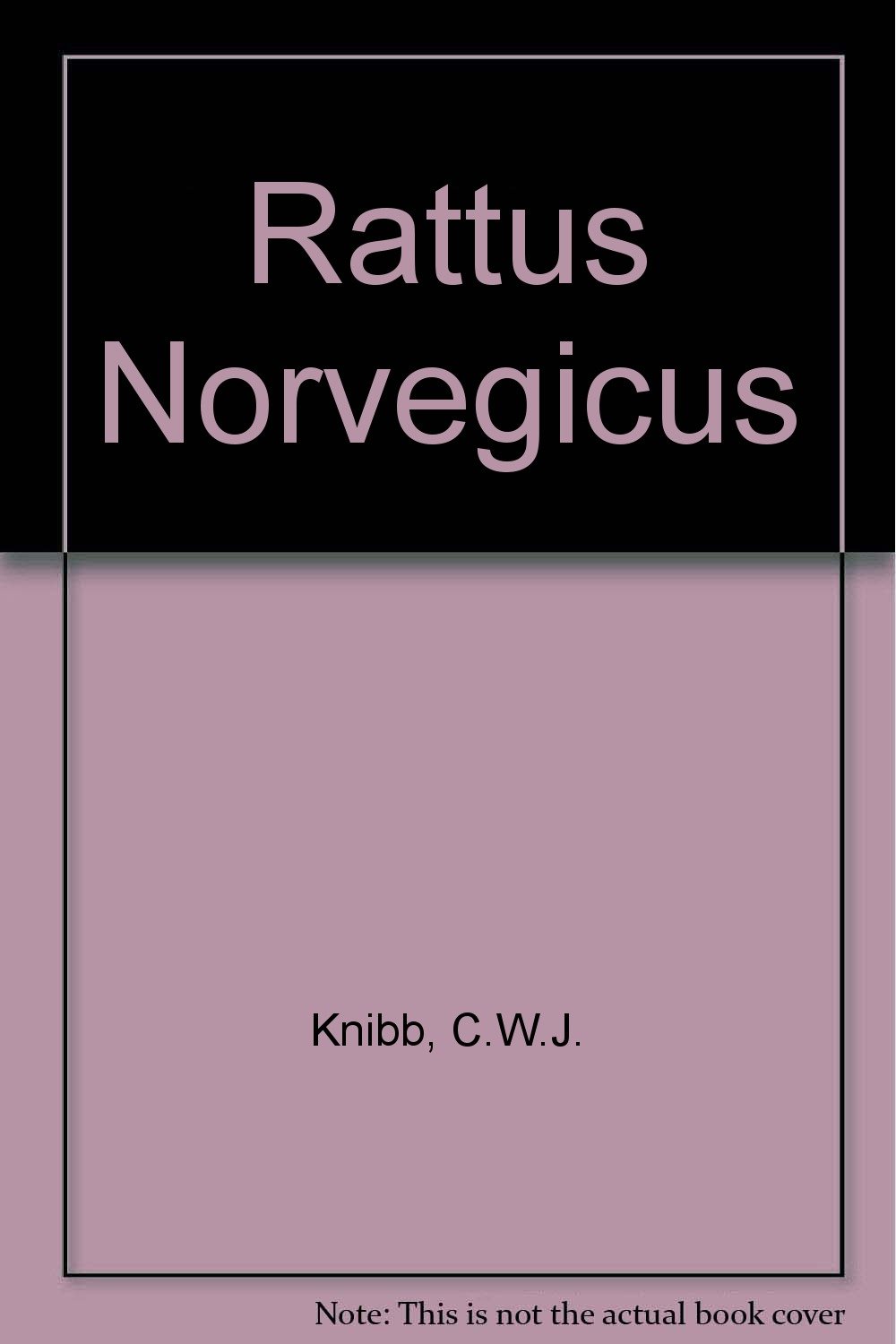 Rattus Norvegicus