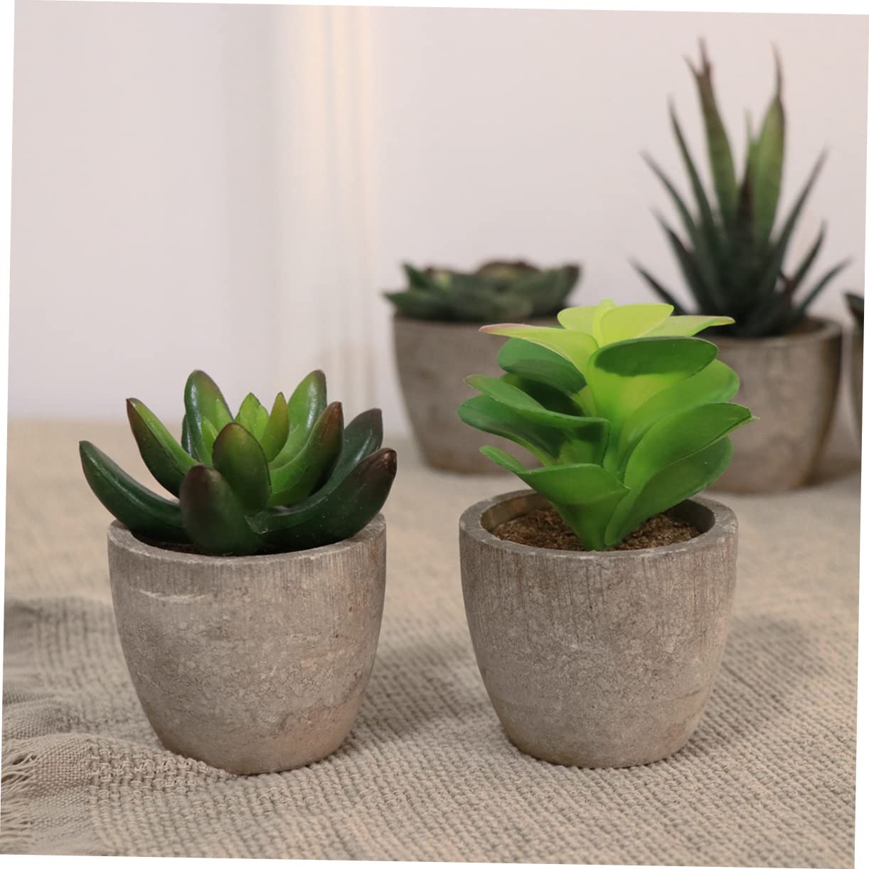 5 Stück Künstliche Sukkulenten Bonsai im Retro Topf aus Kunststoff