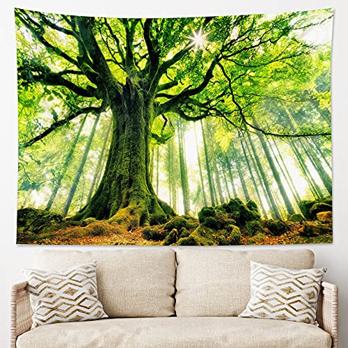 LB 森 タペストリー 生命樹 壁掛け 木漏れ日 自然の植物 癒し 壁飾り 多機能 大判 部屋 飾り インテリア 雑貨 布ポスター 新居祝い 個性プレゼント150ｘ130cm [3]