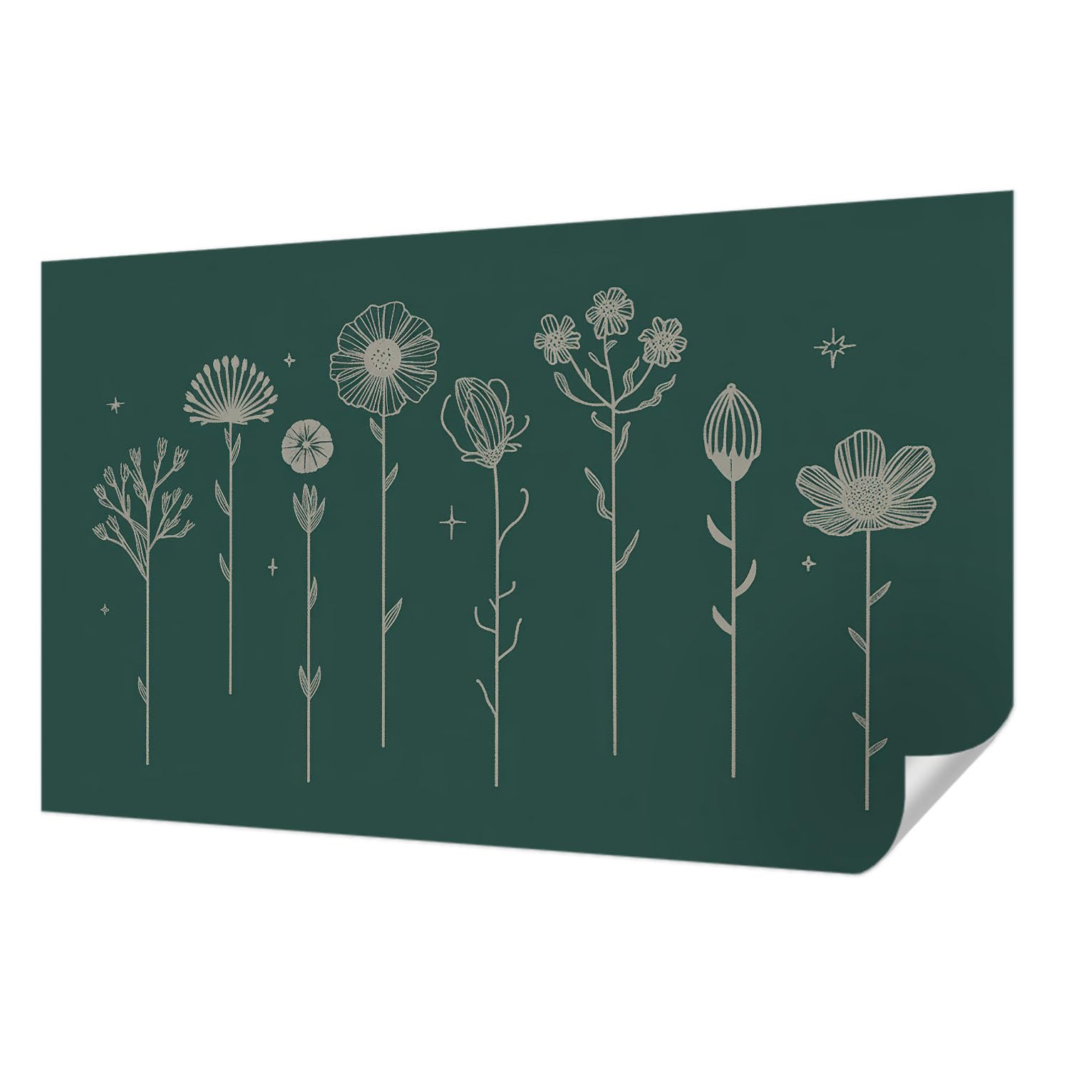 Papier Peint Haute Qualité 416x254 cm Décoration Fleurs