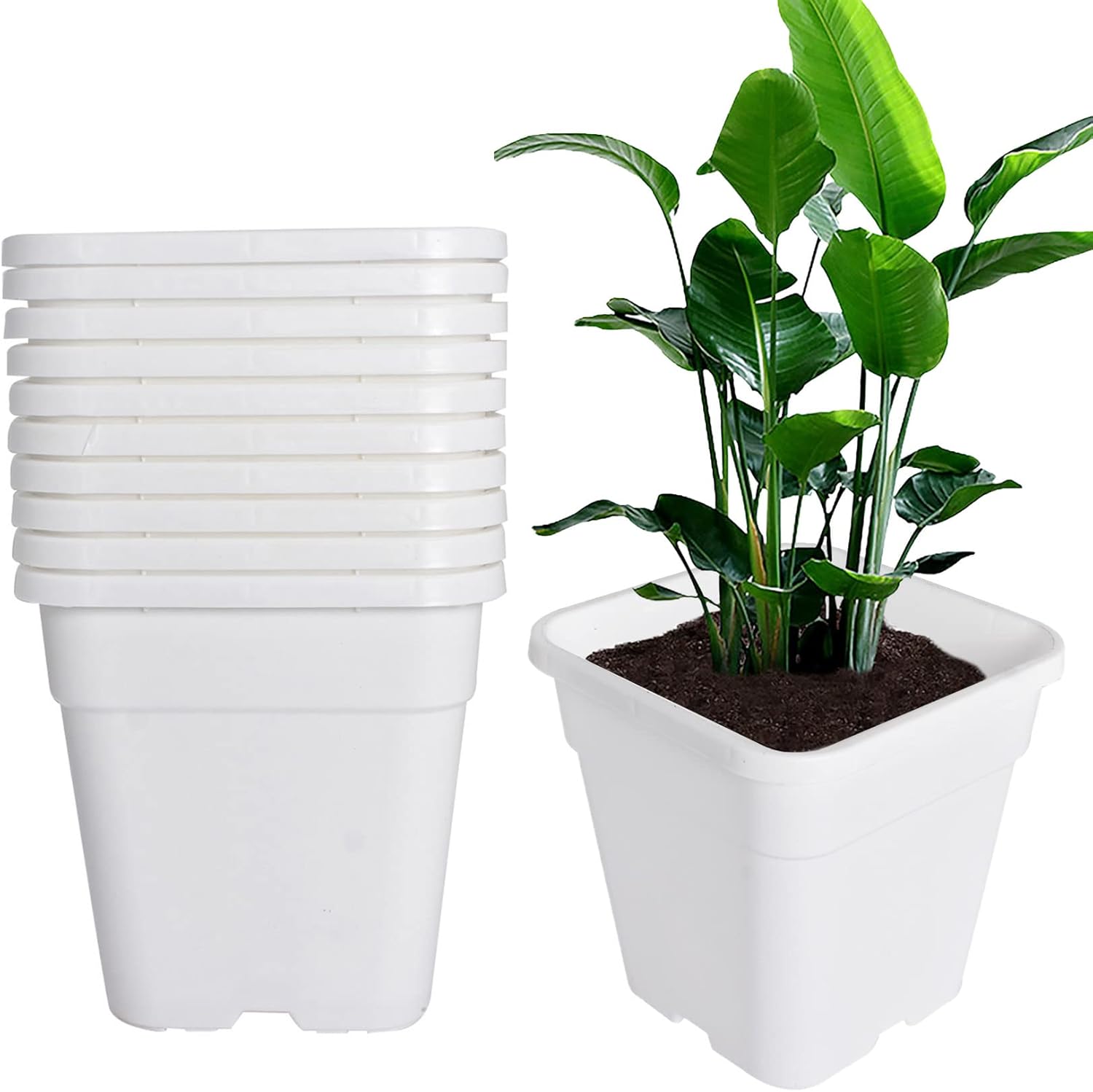 Plastic Planter Nursery Seedling Pots - 5 Pack 10 Gallon Square White Nursery Pots for Indoor and Outdoor Plants with Drainage Hole