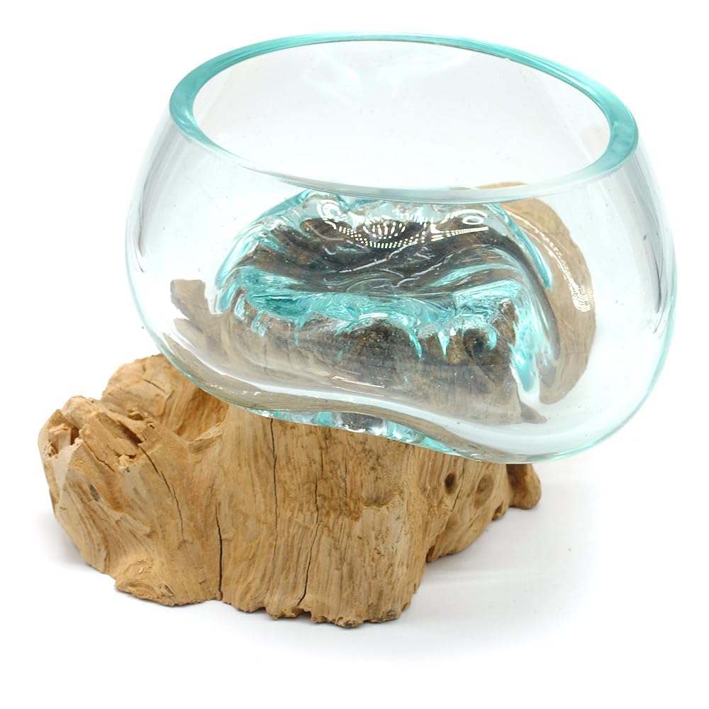 Wurzel mit Glasschale klein Schale Dekoschale Glas auf Holz Durchmesser 12-13 cm Holzdeko Teakholz Deko