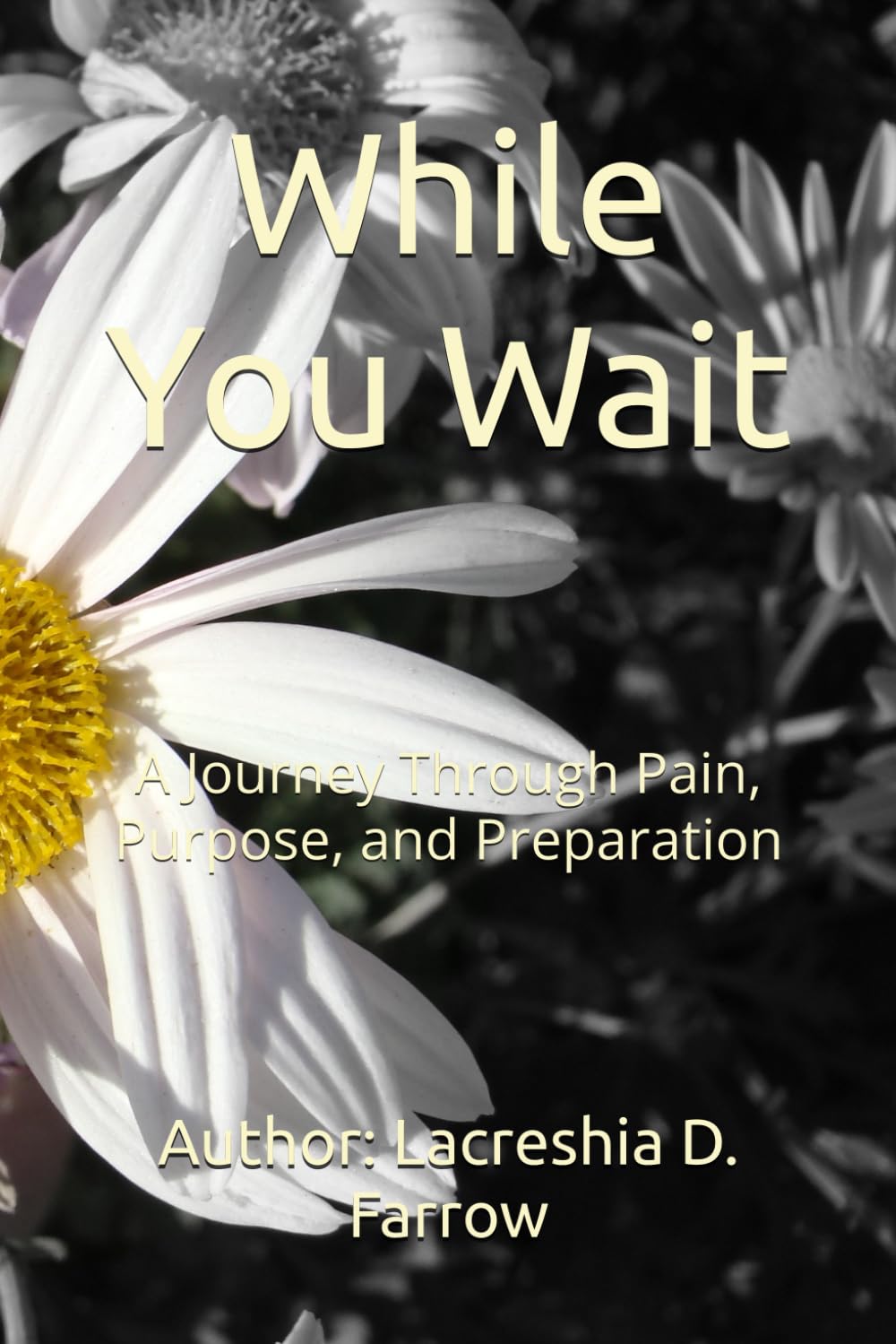 While You Wait: A Journey Through Pain, Purpose, and Preparation