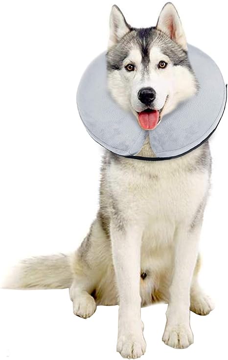 bencmate inflatable collar