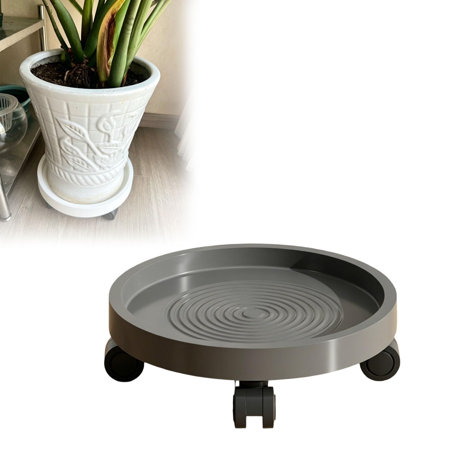 Plateau à roulettes pour pot rond de 25 cm, support de plante pour terrasse et jardin