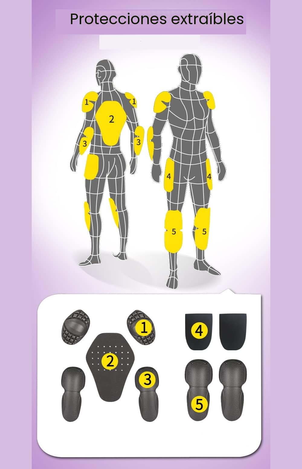 Msport Chaqueta de Moto Impermeable para Mujer, Chaqueta 4 Estaciones con Forro Térmico Extraíble, Transpirable y con Protecciones CE - Violeta L