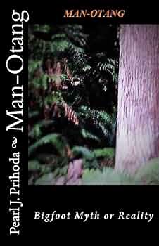 Онлайн порно: Қызды алдау