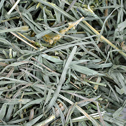 Oxbow Animal Health Organic Meadow Rabbit Hay, Guinea Pig Hay, Small Pet Bunny Supplies, All Natural Grass for Guinea Pig, Bunny, Chinchilla & Hamster, Oxbow Rabbit Supplies for Bunnies, 15 oz bag