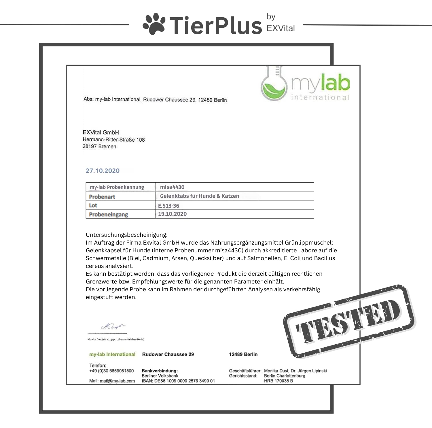 TierPlus Gelenktabletten für Hunde mit Grünlippmuschel, MSM, Ingwer, Chondroitin, Glucosamin und Teufelskralle angereichert. Hohe Fressakzeptanz, 120 Stück, Made in Germany