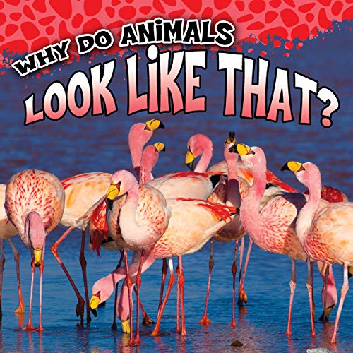 Rourke Educational Media Why Do Animals Look Like That? (Why Do Animals