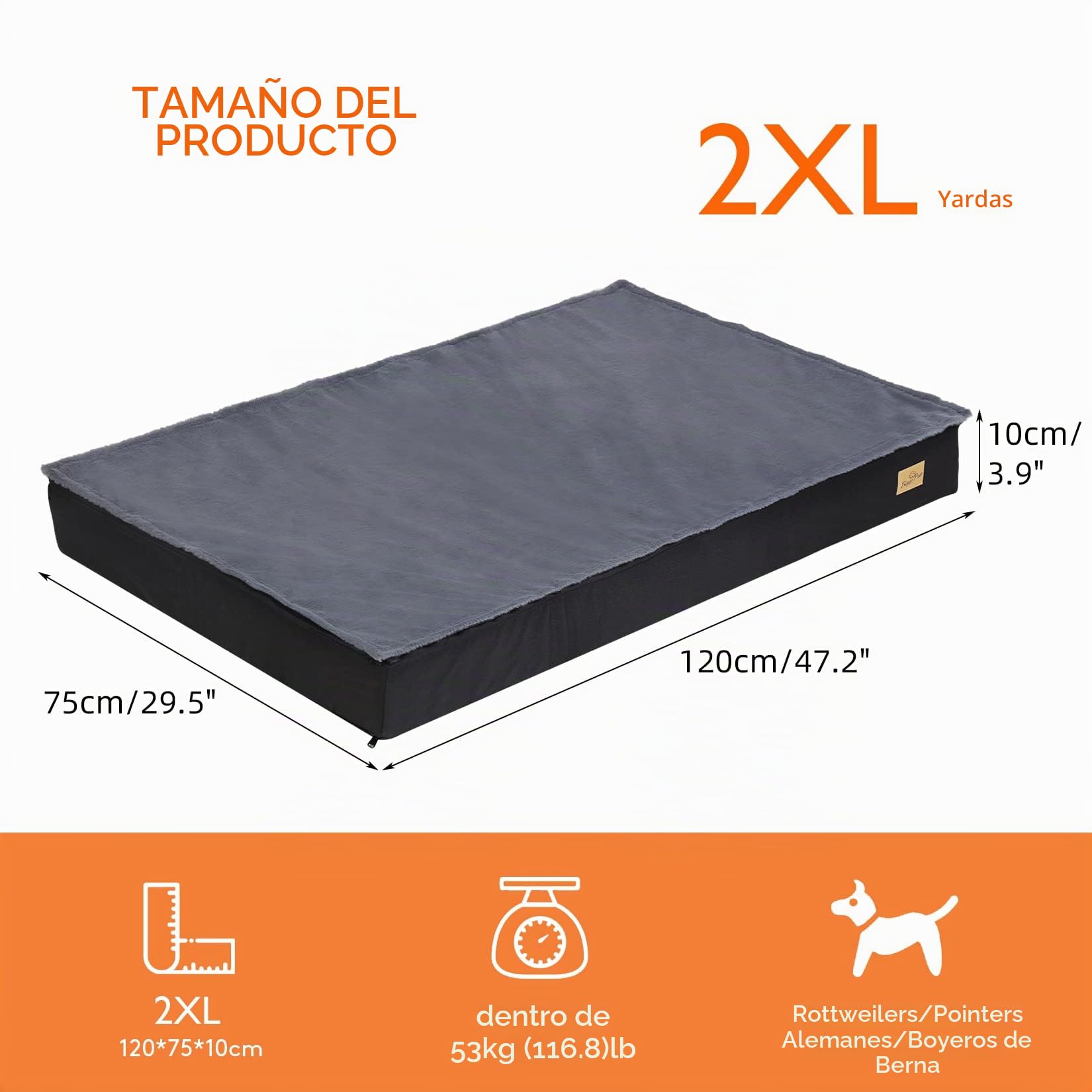 BingoPaw Cama Perro Grande XXL: Colchoneta Colchon Perro Ortopedico 120x75x10 cm Impermeable con Funda Desenfundable y Lavable con Top de Manta de Felpa Desmontable con Cierre para Invierno Verano