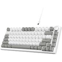 AJAZZ AK820 75% Mechanical Gaming Keyboard, Hot-Swap AS Switch, Grey White