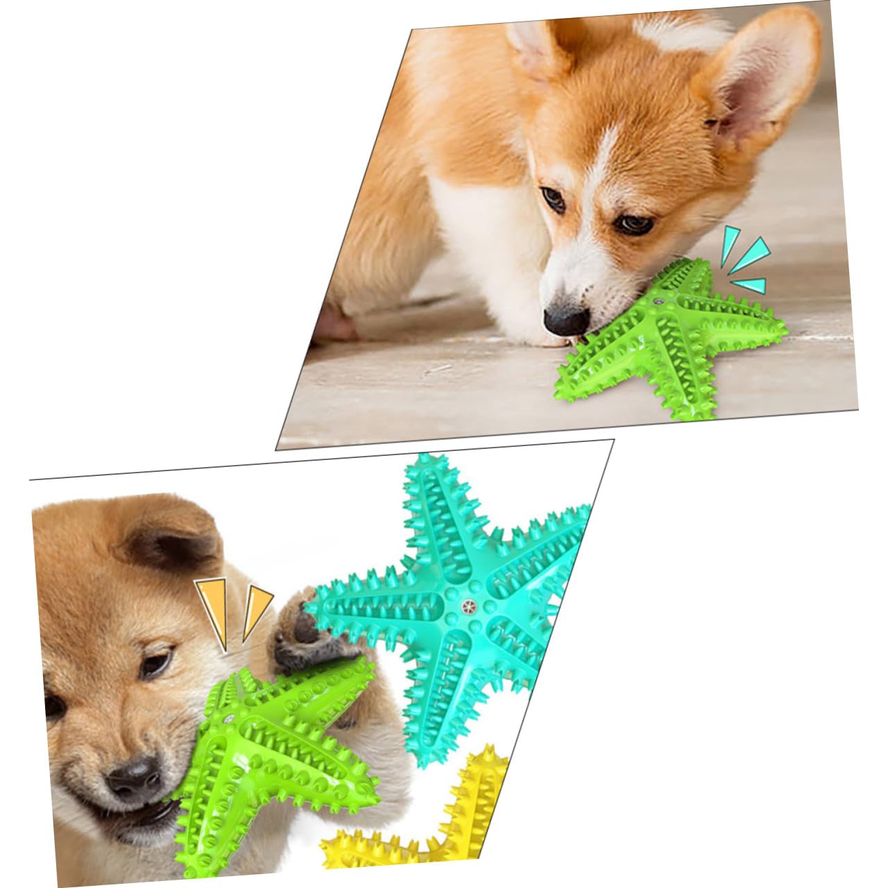 3 Piezas mordedores para Estrellas de mar, Juguete para Perros, Juguete para Perros Delicioso, Juguete de Cepillo de para Perros, Juguete para Masticar para Mascotas, Accesorios para