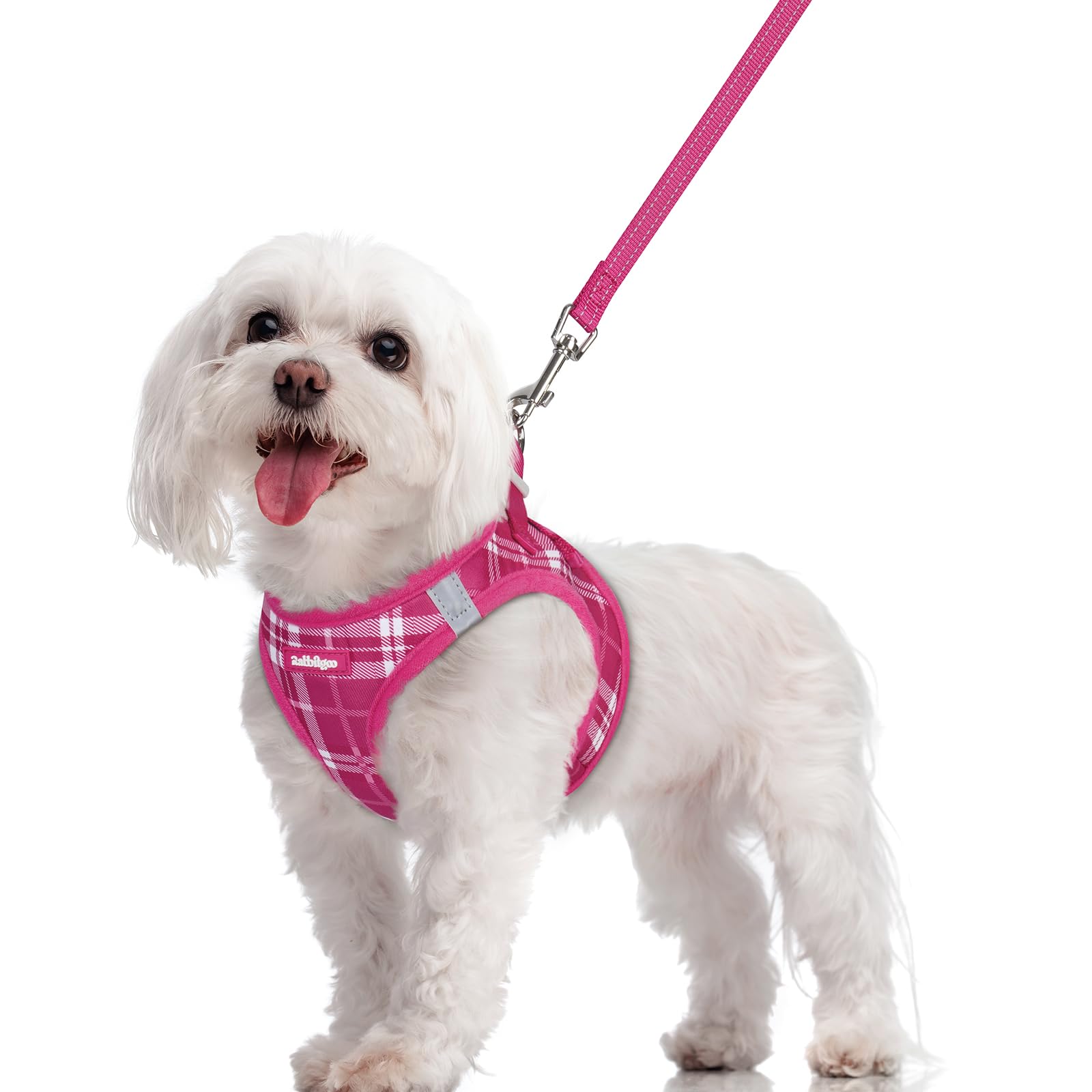 rabbitgoo Dog Harness Medium Sized and Leash Set, Step-in Puppy Pet Vest