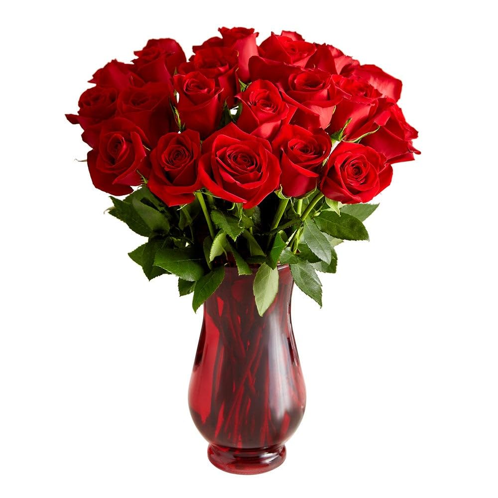 1800 Flowers – Valentine’s Day 24 Stem Red Roses (Clear Red Vase Included) | Fresh Romantic Flowers for Delivery Gift for Valentine’s Day, Anniversary, Special Occasions