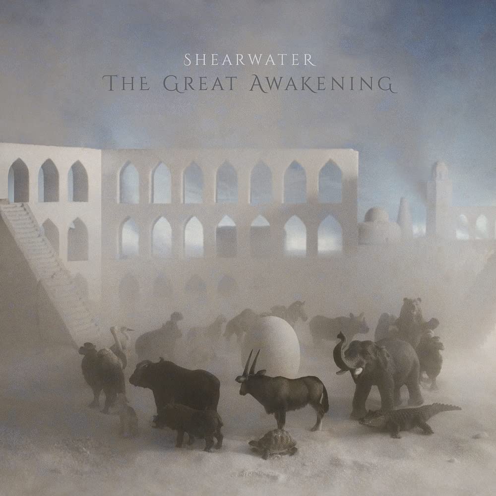 The Great Awakening [VINYL]