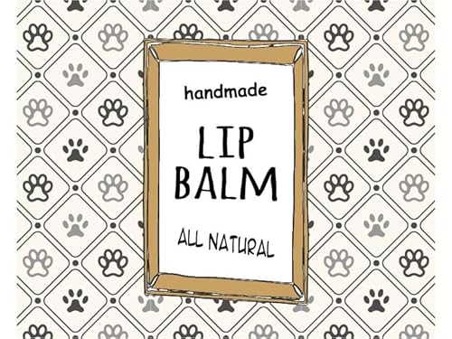 ZZYBIA ƐXLPAi SxXebJ[ bvN[e`[up 20 (A[KC`FbN)