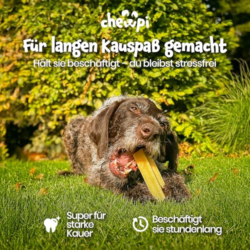 Kaukäse für Hunde L - 2er-Pack - 100% Natürliche Käsestangen für Hunde - Käseknochen Hund mit Langer Kauzeit - Unterstützt die Zahnpflege - Ideal für Starke Kauer - Chewpi