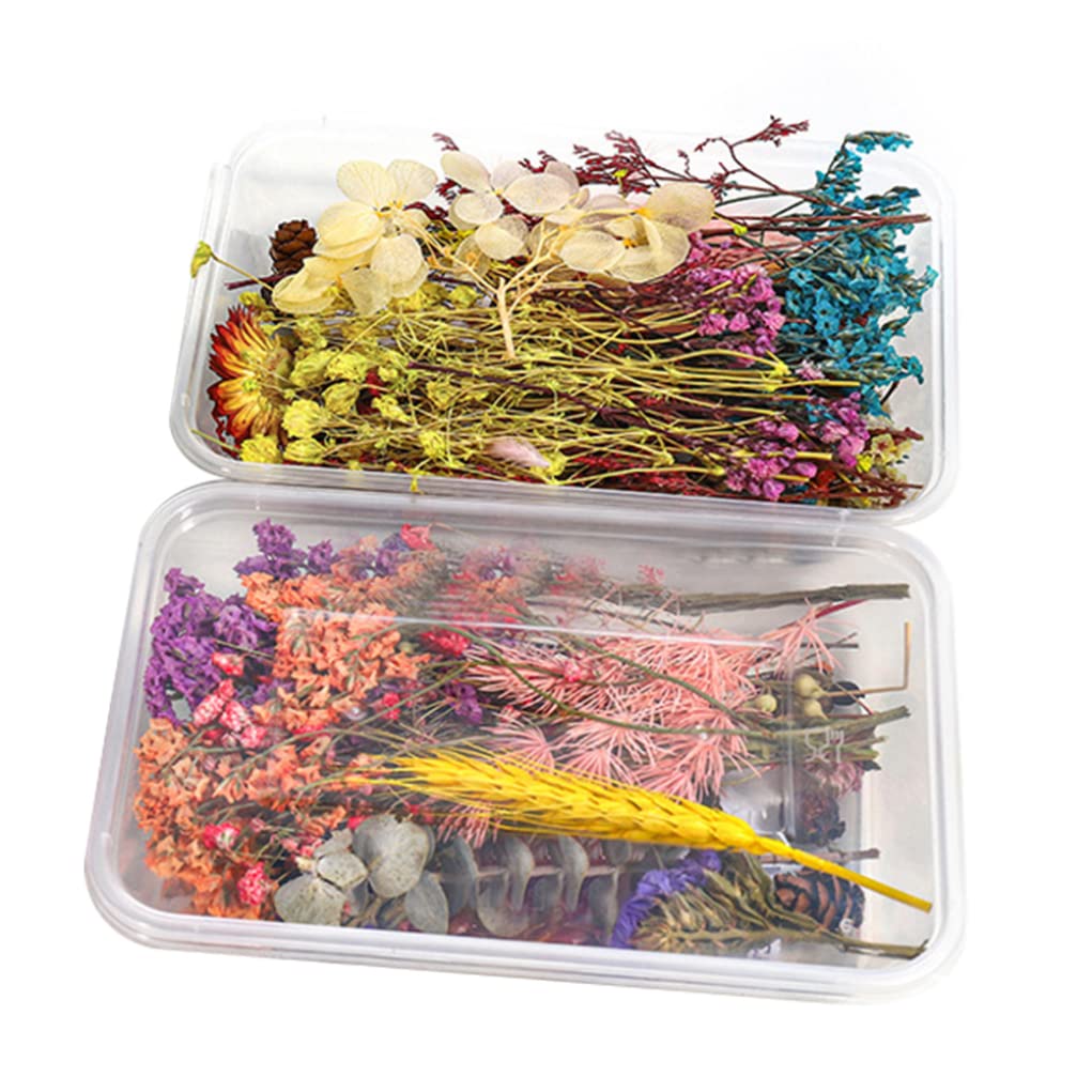 CNAFGBGG Resin Dried Flowers Mixed Natural Pressed Decorative Flowers for DIY Epoxy Casting 2PCS..