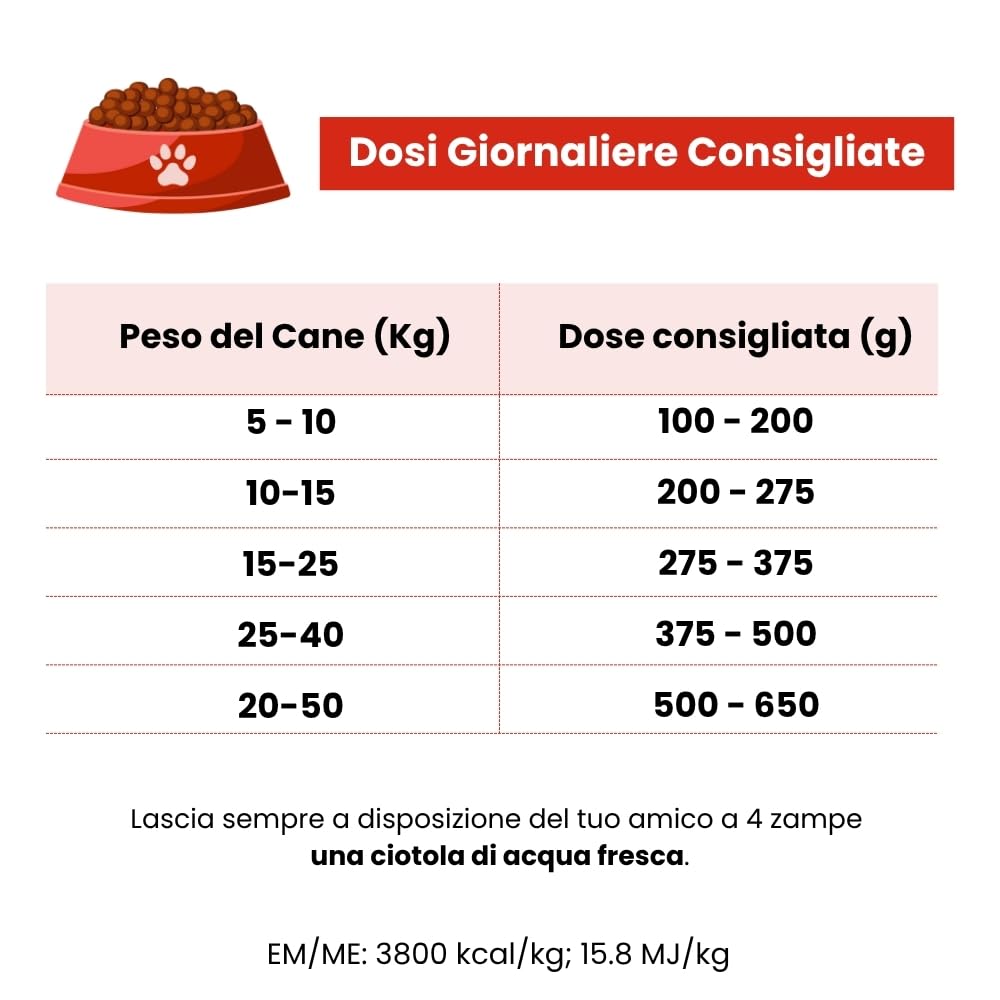 Crocchette per Cani Adulti Attivi – Alta Energia e Proteine – Delivit Adult Energy – 40 kg (2 confezioni da 20 kg) – Made in Italy
