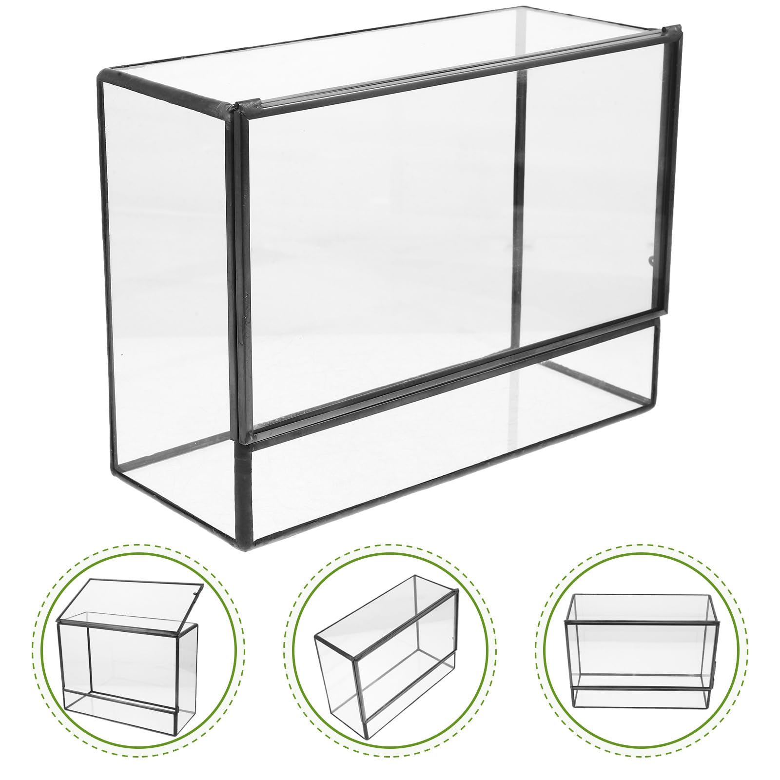 Terrario in Vetro per Piante, Terrarium Moss, Mini Contenitore Geometrico per Muschio e Piante, Trasparente, per DIY e Tavolo da Cucina