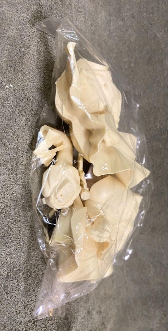 1/6スケール ナースエンジェル りりかSOS ガレージキット Amazon.co.jp: 16スケール ナースエンジェル りりかSOS ガレージ
