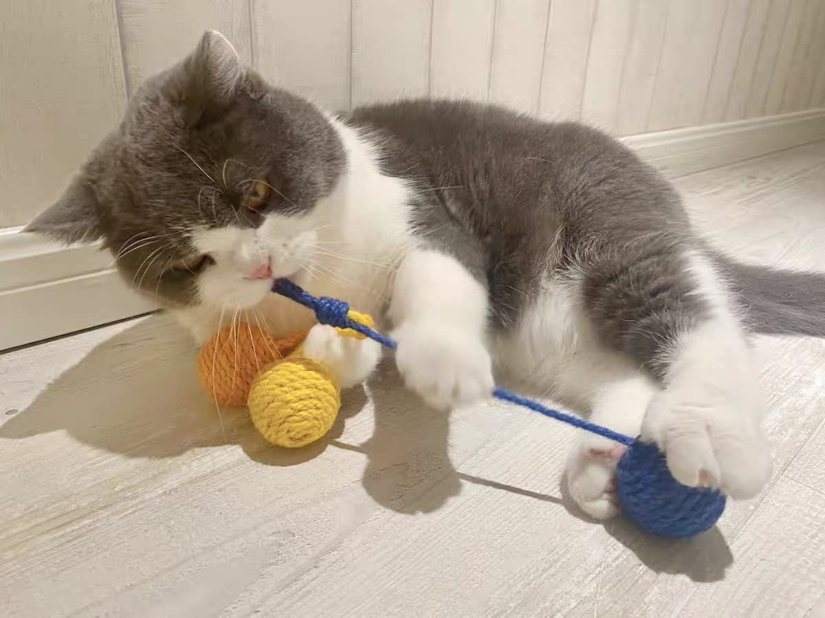 Amazon | Alice猫おもちゃボール 猫じゃらし 猫用ボール 喜ぶ玉遊び 音