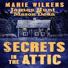 Secrets in the Attic cover art