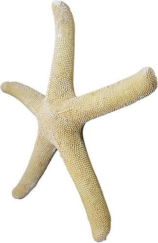 Miniatura 3 de Ebros Gift Escultura de estrella de mar amarilla coral océano, estrella de mar, 15 pulgadas de largo, decoración temática náutica costera para
