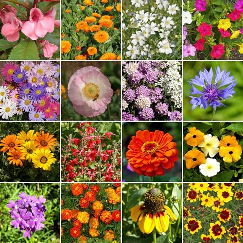 Image of Ferry-Morse Hot & Dry Bulk Wildflower Seeds, 330,000+, 1 lb