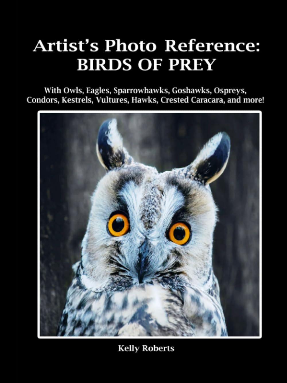Artist's Photo Reference: Birds of Prey: With Owls, Eagles, Sparrowhawks, Goshawks, Ospreys, Condors, Kestrels, Vultures, Hawks, Crested Caracara, and more! (Paint & Draw Reference Photos)