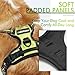 rabbitgoo Dog Harness No Pull with 2 Leash Clips, Adjustable Soft Padded, Reflective Oxford No Choke Pet Vest with Easy Control Handle for Large Dogs, Green, L