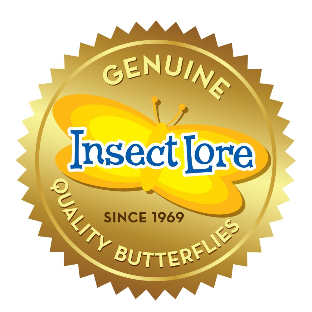 Insect Lore Gutschein Set: Schmetterlingszucht für Kinder & Erwachsene – Schmetterlingsgarten ohne lebende Raupen - Heimische Arten | Raupen züchten - Schmetterlingshabitat für zu Hause ab 3 Jahren