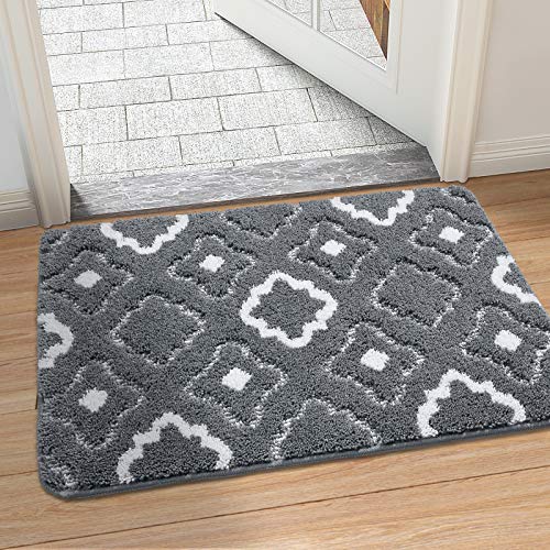 DEXI Indoor Doormat Front Door Mat, 32x20, Absorbent Non-Slip Entry Rug, Machine Washable Low-Profile Door Rugs for Entryway Indoor, Back Door, High Traffic Areas