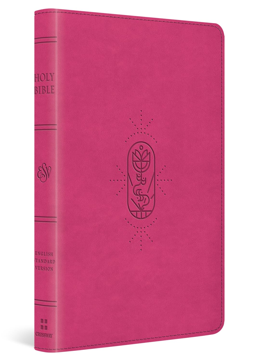 ESV Holy Bible for Kids - 9798874902667