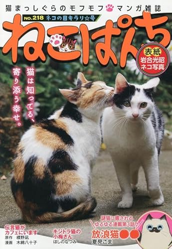 『ねこぱんち ネコの目キラリ☆号』