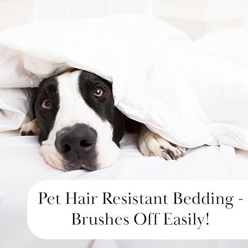 Miniatura 5 de Southshore Fine Linens - Juego de edredón de gran tamaño Vilano Springs