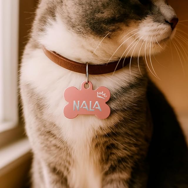 Foto 8 de 8 de DEREGALOOS Chapa Identificativa Mascotas Personalizada Grabada 2 Caras. Forma de Hueso. Placa para Perros…