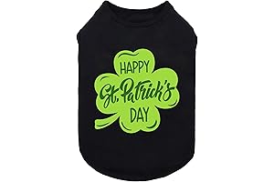 Delightful St. Patrick's Day Dog Attire